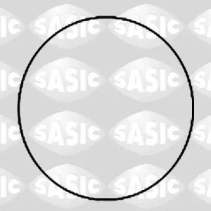 Aanbieding Cilinderbus\\/voering O-ring Sasic 1950007