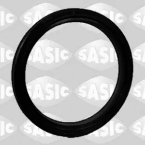 Inlaatspruitstukpakking Sasic 1950011 Wereldwijde Verzending