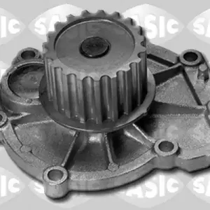 Direct Beschikbaar Waterpomp Sasic 3606069