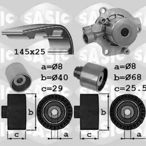 Betrouwbaar Distributieriem kit inclusief waterpomp Sasic 3906102