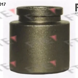 Favoriet Remzadel\\/remklauw zuiger FTE RKS8645017