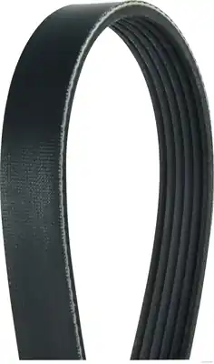 Poly V-riem Herth+Buss Jakoparts J1061165 Snelle Levering