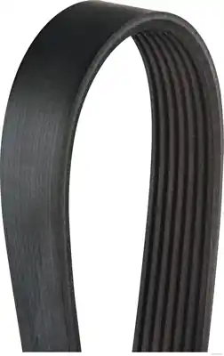 Poly V-riem Herth+Buss Jakoparts J1071535 Must-Have