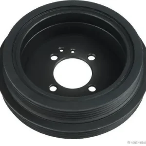 Veilige Betaling Krukaspoelie Herth+Buss Jakoparts J1093001