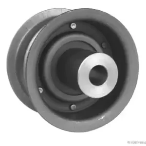 Tijdelijk Beschikbaar Geleiderol distributieriem Herth+Buss Jakoparts J1141004