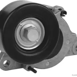 Laatste Kans Spanner poly V-riem Herth+Buss Jakoparts J1141051