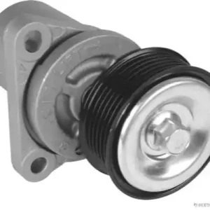 Nieuw Spanner poly V-riem Herth+Buss Jakoparts J1143062