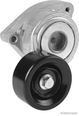 Spanner poly V-riem Herth+Buss Jakoparts J1144057 Favoriet