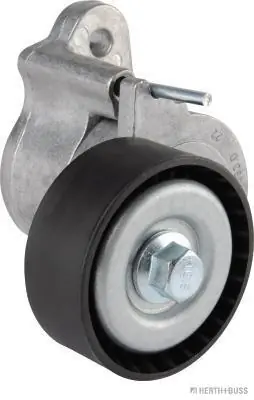 Topkwaliteit Spanner poly V-riem Herth+Buss Jakoparts J1145093