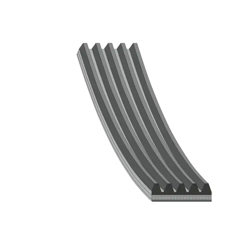 Must-Have Poly V-riem Febi Bilstein 28856