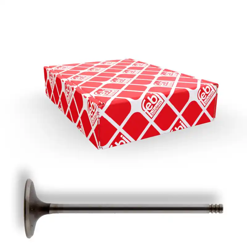 Inlaatklep Febi Bilstein 29627 Professioneel