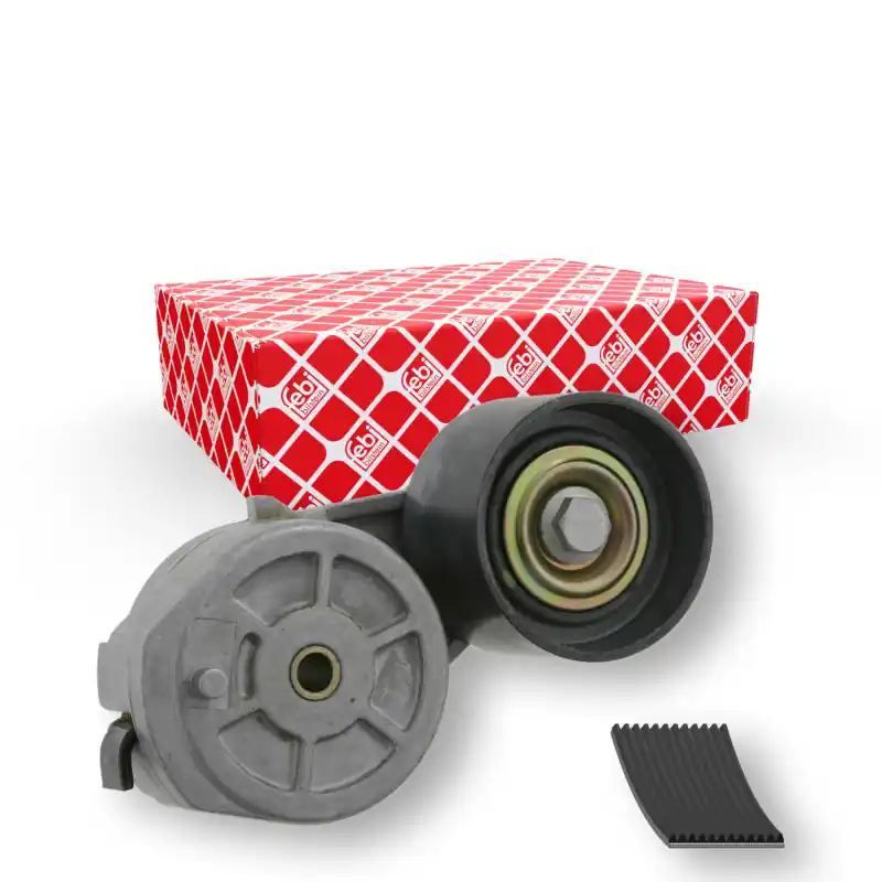 Poly V-riemen kit Febi Bilstein 30200 Lage Kosten