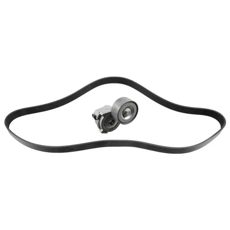 Direct Beschikbaar Poly V-riemen kit Febi Bilstein 30205