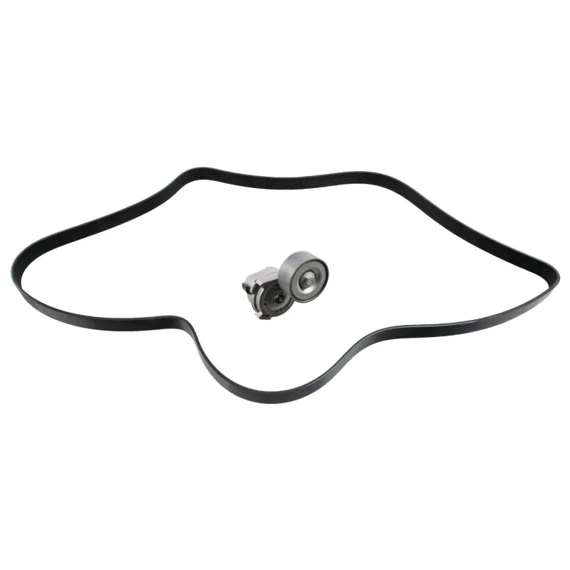 Poly V-riemen kit Febi Bilstein 30207 Bulkbestelling