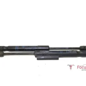 Gasveer motorkap BMW 1er (F20) Bulkbestelling