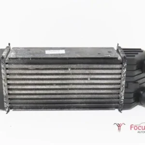 Exclusief Interkoeler tussenkoeler PEUGEOT 207 (WA, WC)