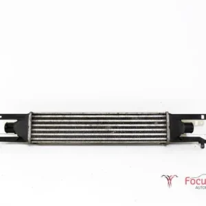 Interkoeler tussenkoeler FIAT Grande Punto (199), FIAT Punto Evo (199) Betaalbaar