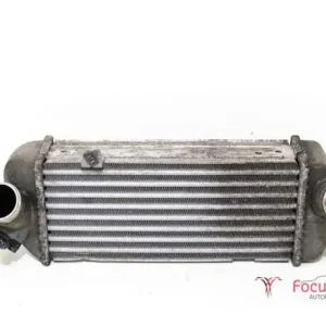 Nieuwe Collectie Interkoeler tussenkoeler HYUNDAI i20 (PB, PBT)