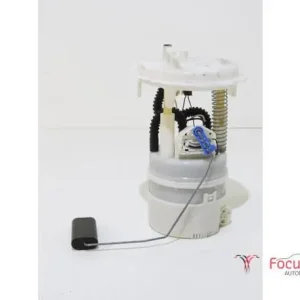 Snelle Levering Brandstofpomp CITROËN C3 II (SC)