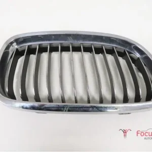 Radiateurgrille BMW 3er (E90) Authentiek