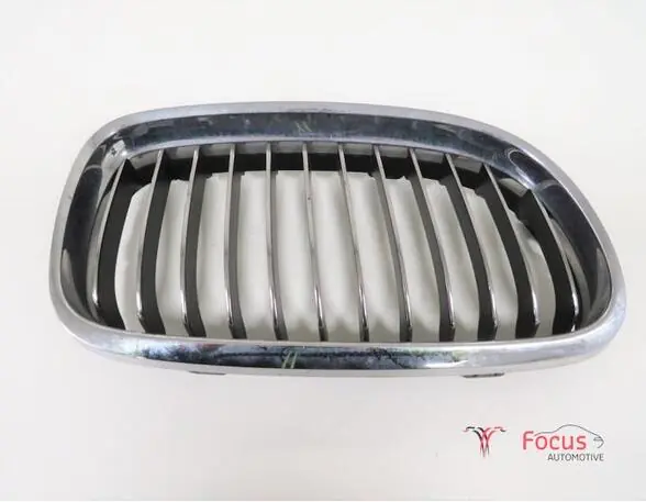 Radiateurgrille BMW 3er (E90) Authentiek