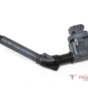 Bobine RENAULT Megane IV Schrägheck (B9A/M/N) Koopje