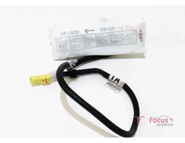 Nu Kopen Zijairbag KIA PICANTO (TA)