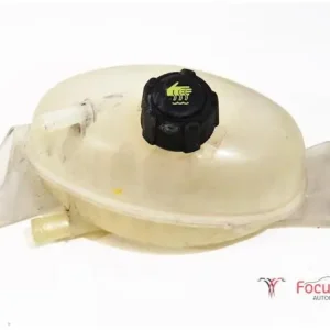 Betaalbaar Koelmiddel Compensatiereservoir RENAULT Master III Kasten (FV)