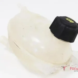 Betrouwbaar Koelmiddel Compensatiereservoir RENAULT Captur I (H5, J5), RENAULT Clio IV (BH)