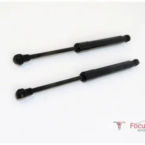 Gasveer motorkap AUDI A1 (8X1, 8XK), AUDI A1 Sportback (8XA, 8XF) Hete Deal