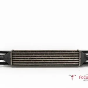 Tijdelijk Beschikbaar Interkoeler tussenkoeler FIAT Grande Punto (199), FIAT Punto Evo (199)