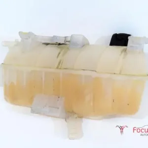 Koelmiddel Compensatiereservoir RENAULT KANGOO Express (FW0/1_) Goedkoop