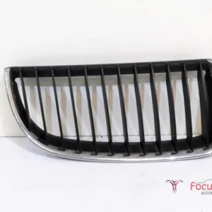Radiateurgrille BMW 3er (E90) Koop Online
