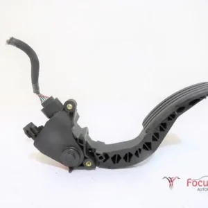 Sensor gaspedaalpositie RENAULT GRAND SCÉNIC III (JZ0/1_), RENAULT SCÉNIC III (JZ0/1_) Merkproduct