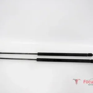 Wereldwijde Verzending Gasveer motorkap MINI Mini (R50, R53), MINI Mini (R56)