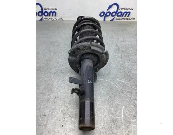 Veerpoot FORD C-MAX II (DXA/CB7, DXA/CEU) Voordeelprijs