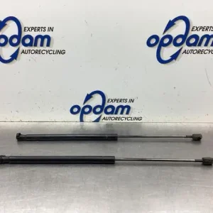 Gasveer kofferruimte FORD FOCUS C-MAX (DM2), FORD C-MAX (DM2), FORD KUGA I, FORD KUGA II (DM2) Ambachtelijk