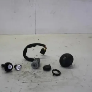 Express Levering Slotcilinderset DACIA LOGAN (LS_), DACIA LOGAN II, RENAULT LOGAN I (LS_), DACIA DUSTER (HS_)