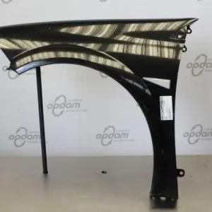 Spatbord RENAULT MEGANE II Estate (KM0/1_) Limited Edition