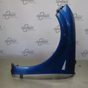 Nu Kopen Spatbord RENAULT GRAND SCÉNIC II (JM0/1_), RENAULT SCÉNIC II (JM0/1_)