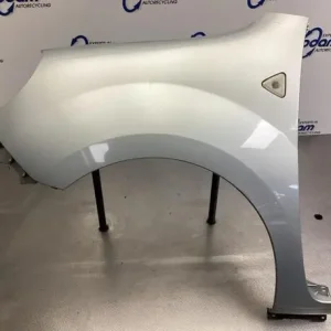 Topkwaliteit Spatbord RENAULT KANGOO Express (FW0/1_), RENAULT KANGOO / GRAND KANGOO (KW0/1_)