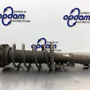 Veerpoot SKODA FABIA I (6Y2) Flitsaanbieding