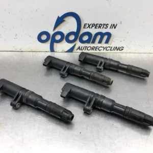 Bestel Nu Bobine RENAULT MEGANE II Coupé-Cabriolet (EM0/1_)