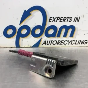 Antenne VW POLO (AW1, BZ1) Direct Verzonden