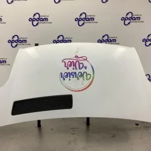 Lage Kosten Motorkap RENAULT TRAFIC II Van (FL), RENAULT TRAFIC II Bus (JL)