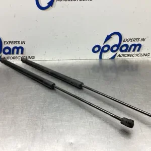 Gasveer kofferruimte CITROËN C4 GRAND PICASSO I (UA_), CITROËN C4 PICASSO I MPV (UD_) Seizoensaanbieding