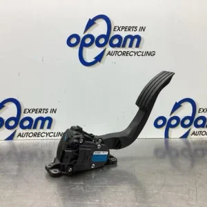 Seizoensaanbieding Gaspedaal RENAULT TWINGO II (CN0_)