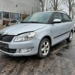Deur SKODA FABIA II Combi (545), SKODA ROOMSTER Praktik (5J), SKODA ROOMSTER (5J7) Direct Verzonden