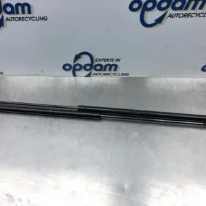 Gasveer kofferruimte FIAT DOBLO MPV (119_, 223_), FIAT DOBLO Box Body/MPV (223_) Topkwaliteit