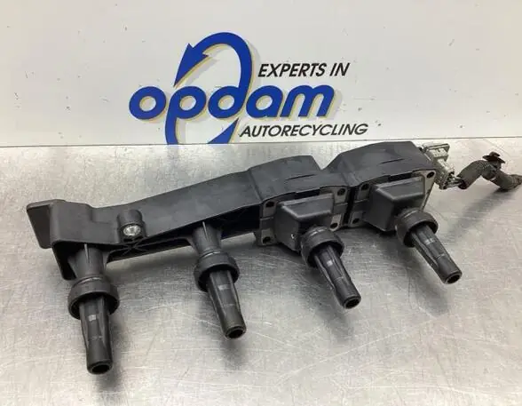 Wereldwijde Verzending Bobine PEUGEOT 207 (WA_, WC_)